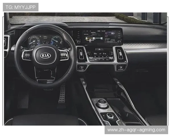 起亚曾赞助哪支意甲球队？合作案例与营销成效