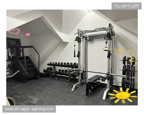 零基础打造家庭健身房:室内器材选购与训练方案